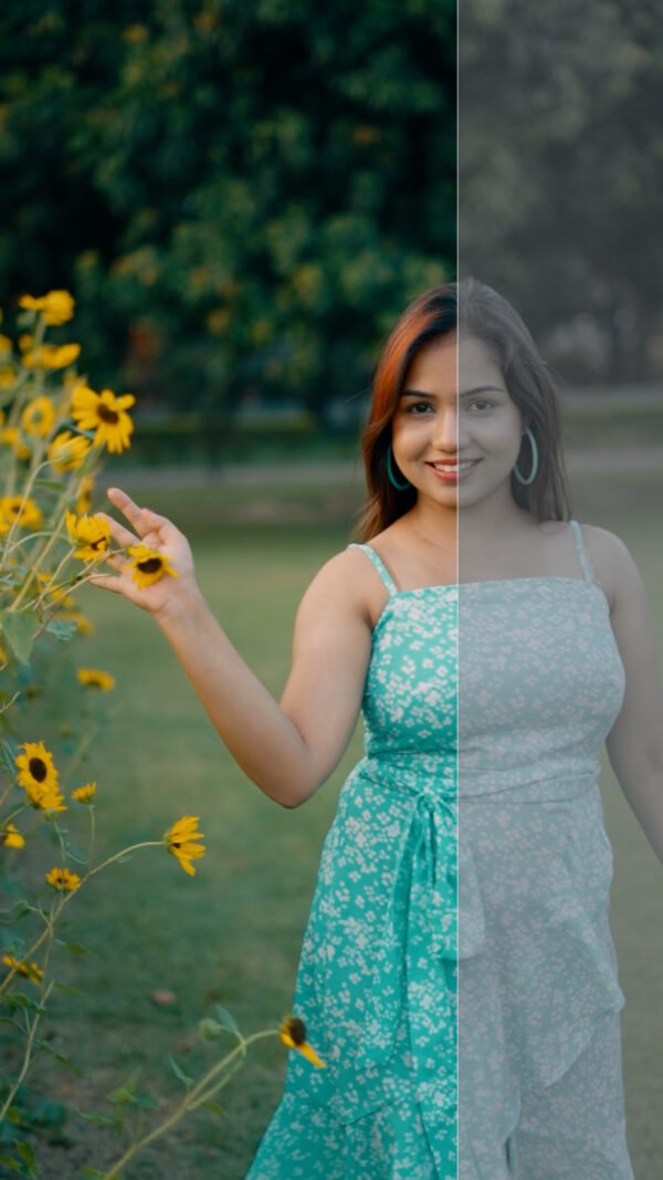 One click S-log Luts of 2 ( slog-2 & slog-3 )